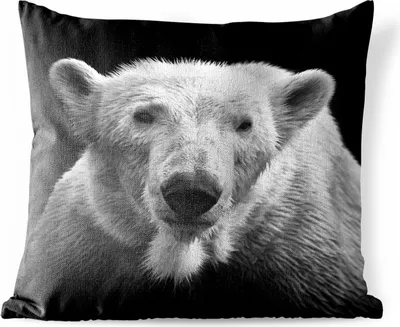 Produktbild von MuchoWow® Outdoor Kissen - Eisbär - Tier - Schwarz - 40x40 cm - Wetterfest - Lounge Kissen - Kopfkissen - Interieur - Polster mit Bild