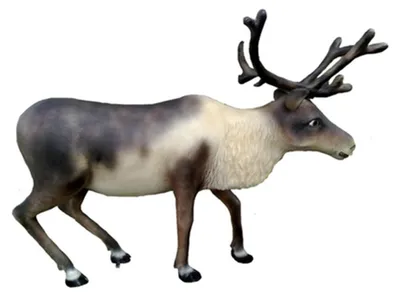 Produktbild von Designer Rentier Deko Tier Figur Winterdeko Höhe 160x200 cm Elch Dekoration Neu