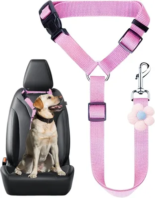 Produktbild von Hundesicherheitsgurt für das Auto – Verstellbares Geschirr für kleine und mittelgroße Hunde und Katzen