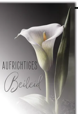 Produktbild von Trauer Kondolenz Beileidskarte mit Umschlag Aufrichtiges Beileid Lilie Fotomotiv