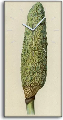 Produktbild von Wanduhr Uhr Wandbild Leinwand Geräuschlos 30x60 Malerei Früchte Blumen Kunst - weiße Hände
