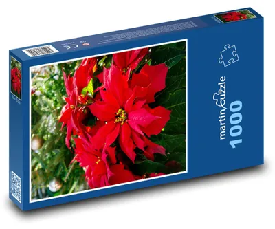 Obrázek produktu pro Puzzle 1000 Vánoční hvězda - květina - martinpuzzle
