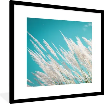 Produktbild von MuchoWow® Gerahmtes Poster Pampasgras - Pflanze 40x40 cm - Poster mit Schwarzem Bilderrahmen Wandposter Rahmen Foto Bilder - Poster - Plakat im Rahmen