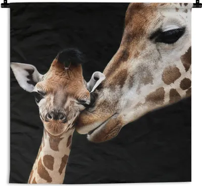 Produktbild von MuchoWow® Wandteppich Wandbehang Giraffe - Tiere - Schwarz - Porträt - Tiere 120x120 cm Tapisserie Dekoration Wandtuch - Modern - Baumwollgewebe