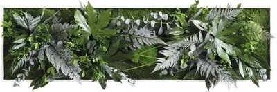 Produktbild von Pflanzenbild Dschungeldesign Rahmen weiß 140x40 cm