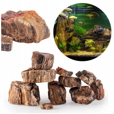 Produktbild von Aquarium Deko, Versteinertes Holz 10 kg Grau