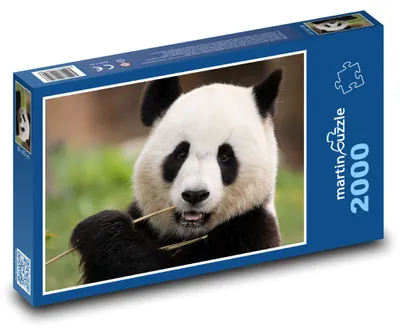 Obrázok produktu pre martinpuzzle - Puzzle 2000 - Panda - zviera, cicavec