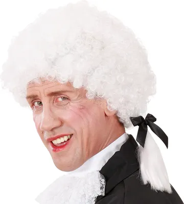 Produktbild von Widmann Perücke Mozart Herren Weiß 57/58cm Kopfumfang