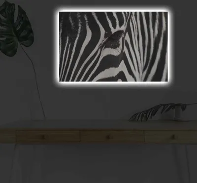Image de Opviq, 4570DHDACT- SHN4348, multicolore, toile, 45 x 70 cm, toile 100 % suédine