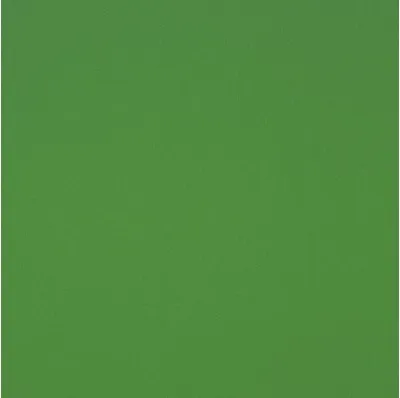 Obrázek produktu pro Plastová deska GUTTA Hobbycolor z tvrdé pěny 500 x 250 x 3 mm hladká, zelená