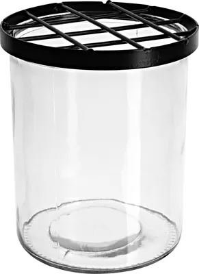 Produktbild von Glasvase mit Steckgitter Ø 12 cm