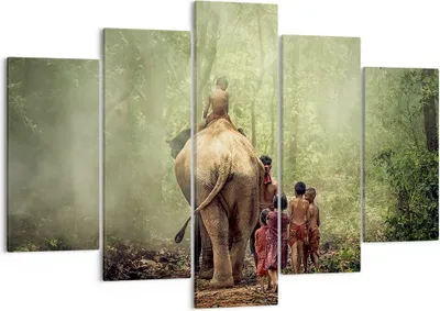 Produktbild von Bild auf Leinwand - Leinwandbild - Elefant Dschungel Nebel - 150x100cm - Wand Bild - Wanddeko - Leinwanddruck - Bilder - Kunstdruck - Wanddekoration - Leinwand bilder - Wandkunst - EA150x100-3438