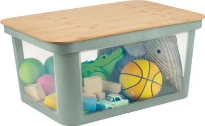 Image de Rotho Babydesign boîte de rangement Pina 45 l - Sage Green