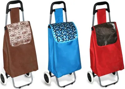 Obrázek produktu pro TORO Nákupní taška na kolečkách - 95 x 34,5 cm_EXTUTC