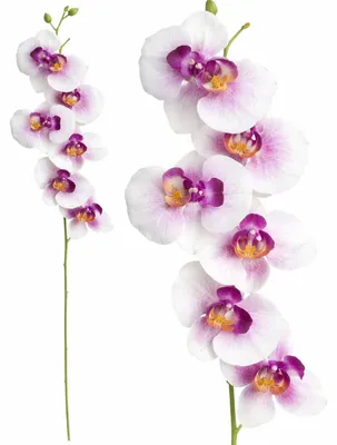 Obrázok produktu pre Umelá orchidea dekoratívna vetvička umelý kvet na aranžmán kyticu 75 cm bielo fialová