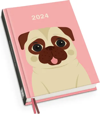 Produktbild von Taschenkal. 2024 Ryski Koala