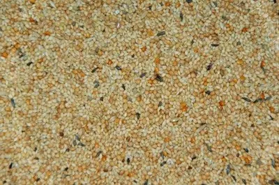 Image de Wielink, alimentation pour animaux tropicaux – 20 kg