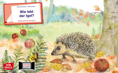 Produktbild von Wie lebt der Igel? Kamishibai Bildkartenset.