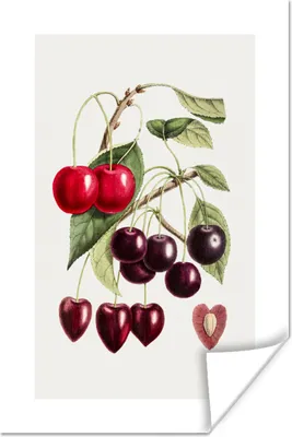 Produktbild von MuchoWow® Poster Lebensmittel - Kirschen - Obst 80x120 cm - Papierdruck