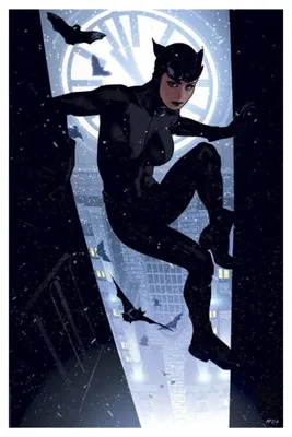 Image de Affiche artistique Catwoman, DC Comics, 41 x 61 cm - sans cadre