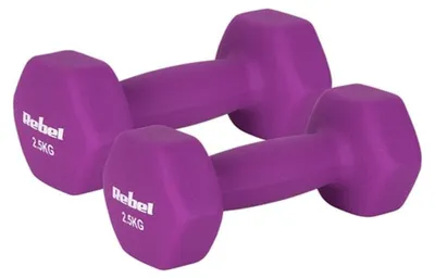 Immagine prodotto di Set manubri Rebel Active RBA-2330-2.5, 2 x 2.5 kg, ghisa e rivestimento in neoprene viola