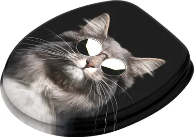 A toilet seat with a printed image of a cat wearing sunglasses.