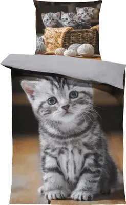 Produktbild von 4 teilig Katzen Bettwäsche 135x200 cm Katze Welpe Baby Cat Kitty grau Mikrofaser