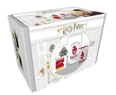 Produktbild von Harry Potter Geschenkbox Quidditch