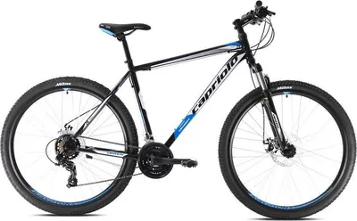 Obrázok produktu pre Capriolo OXYGEN 29"/19" horský bicykel čierno-modrý