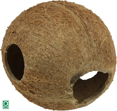Zdjęcie produktu dla JBL Cocos Cava 1/1M