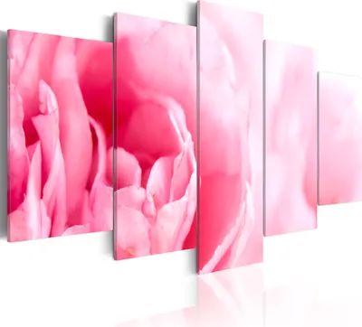 Produktbild von Modernes Wandbild 030210- 44 (100x50) - 5 Teilig Bilder Fotografie auf Vlies Leinwand Foto Bild Dekoration Wand Bilder Kunstdruck Blumen