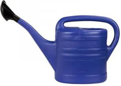 Produktbild von Florus Gießkanne 10l mit blauem Sprühkopf