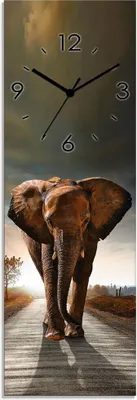 Produktbild von ARTland Glas Wanduhr Quarzuhr - schwarzer Zeiger Ein Elefant läuft auf der Straße Größe: 20x60 cm
