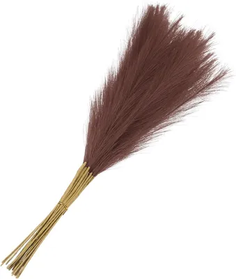 Produktbild von 20 künstliche Pampasgras-Bäume, 55 cm (21 Zoll) groß, dekorativ, dunkelbraun, für Wohnzimmer, Schlafzimmer, Partys, Wandvase, Hochzeitsdekoration