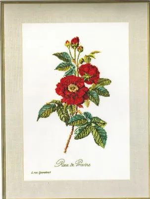 Image de Thea Gouverneur Kit de broderie au point de croix "Rose van Spaendonck Zählstoff", motif à compter, 26x38cm