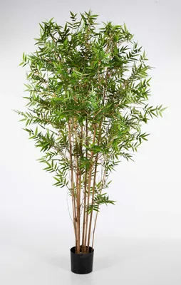 Produktbild von artplants.de Künstlicher Japanischer Bambus KANAYO, 1005 Blätter, grün, 90cm - Kunst Bambus - Deko Bambus