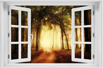 Produktbild von Wallario Wandbild mit Fenster-Illusion: Sonnenuntergang auf dem Waldweg, Größe: 61 x 91,5 cm, Poster mit weißem Aluminiumrahmen