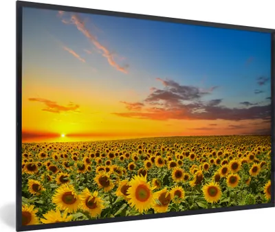Produktbild von MuchoWow® Gerahmtes Poster Blumen - Sonnenblume - Sonnenuntergang - Nacht - Orange 60x40 cm - Poster mit Schwarzem Bilderrahmen Wandposter Rahmen Foto Bilder - Printing - Wanddeko Schlafzimmer
