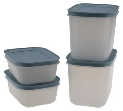Productafbeelding van Set van 4 vriescontainers - Ideaal voor het invriezen van voedsel
