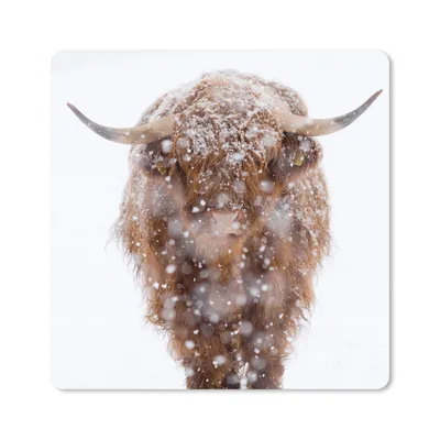 Produktbild von MuchoWow® Mauspad Mousepad Schottischer Highlander - Kuh - Schnee 20x20 cm - Mousepads - Maus Mat - Pad - Mausunterlage - Desk Mat - Bureauartikeln