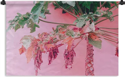 Produktbild von MuchoWow® Wandteppich Wandbehang Palme - Tropisch - Rosa - Sommer 90x60 cm Tapisserie Dekoration Wandtuch - Wandskulpturen - Bildteppich