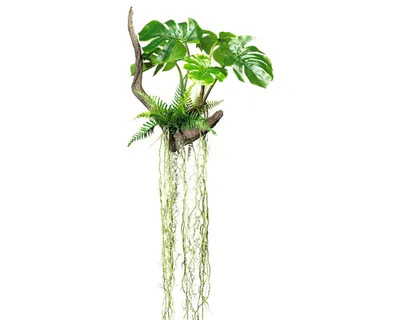Produktbild von Kunstpflanze Splitphilodendron Höhe: 160 cm grün