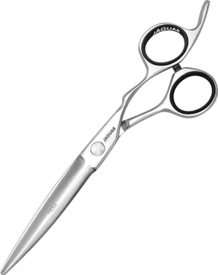 A pair of professional hairdressing scissors on a white background.