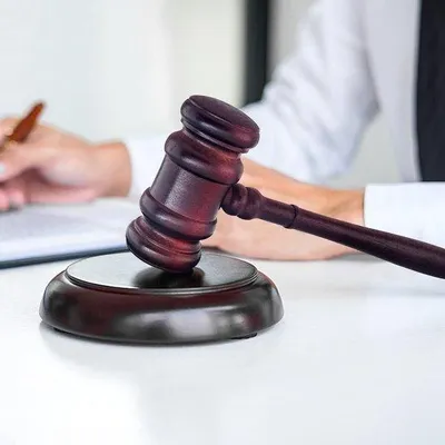 Produktbild von Vorsitzerschleuder - Holzschleuder - Vorsitzerschleuder mit Schlagblock - Auktionsschleuder