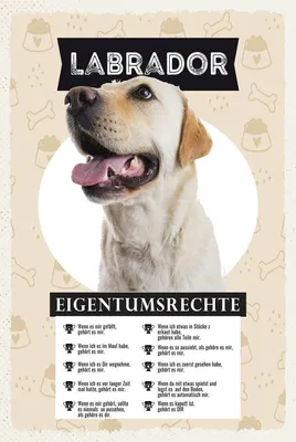 Produktbild von vianmo Holzschild 18x12 cm Labrador Eigentumsrechte