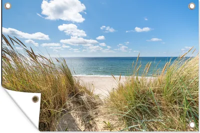 Produktbild von MuchoWow® 90x60 cm Outdoor-Poster Gartendeko Sichtschutz Garten Poster für den Garten  Düne - Gras - Meer - Strand