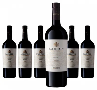Produktbild von 6 x Salentein Barrel Selection Merlot