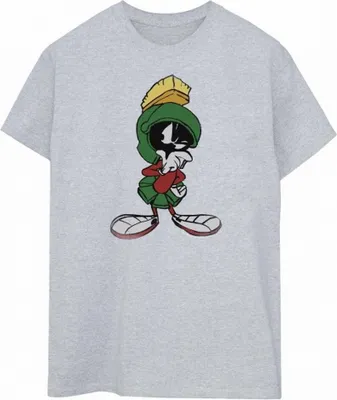 Produktbild von Looney Tunes - T-Shirt für Damen BI1304 (M) (Grau)