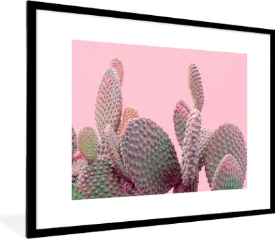 Produktbild von MuchoWow® Gerahmtes Poster Kaktus - Pflanzen - Sommer 80x60 cm - Poster mit Schwarzem Bilderrahmen Wandposter Rahmen Foto Bilder - Schlafzimmer-Dekorationen - Fotoposter