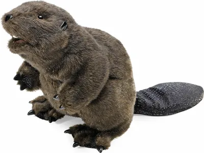 Produktbild von Folkmanis Beaver, Handpuppe, Tier, 1 Stück(e)